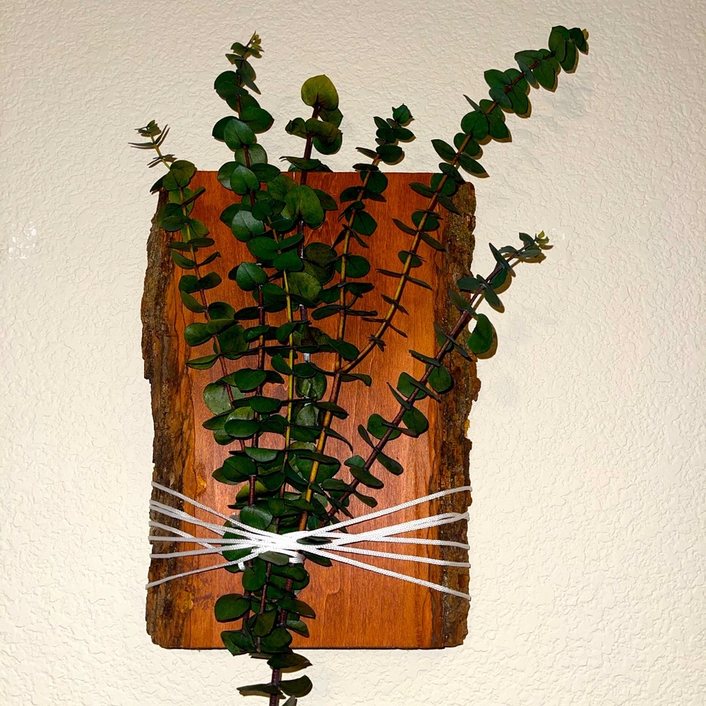Natural Home Decor